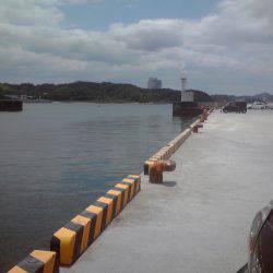 外道　ゴンズイ多い